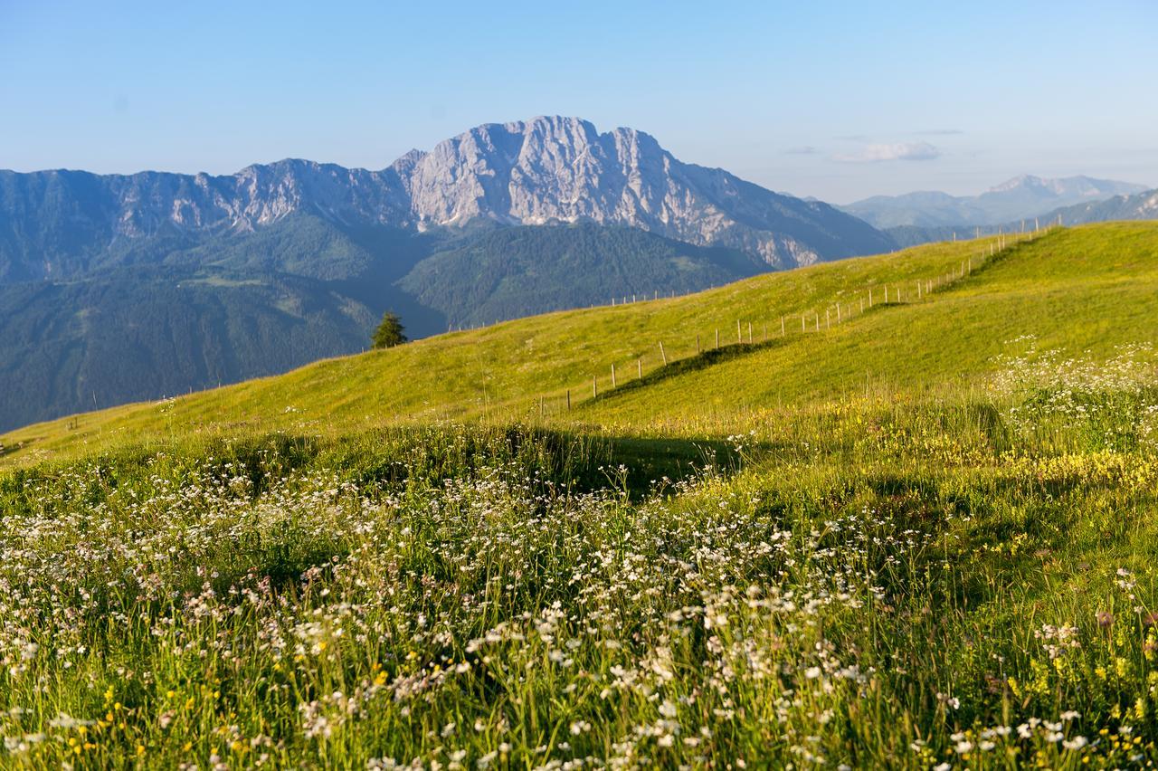 Sattleggers Alpenhof & Feriensternwarte Hotel ไกรเฟนบวร์ก ภายนอก รูปภาพ