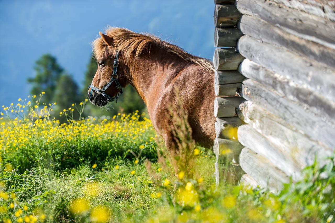 Sattleggers Alpenhof & Feriensternwarte Hotel ไกรเฟนบวร์ก ภายนอก รูปภาพ