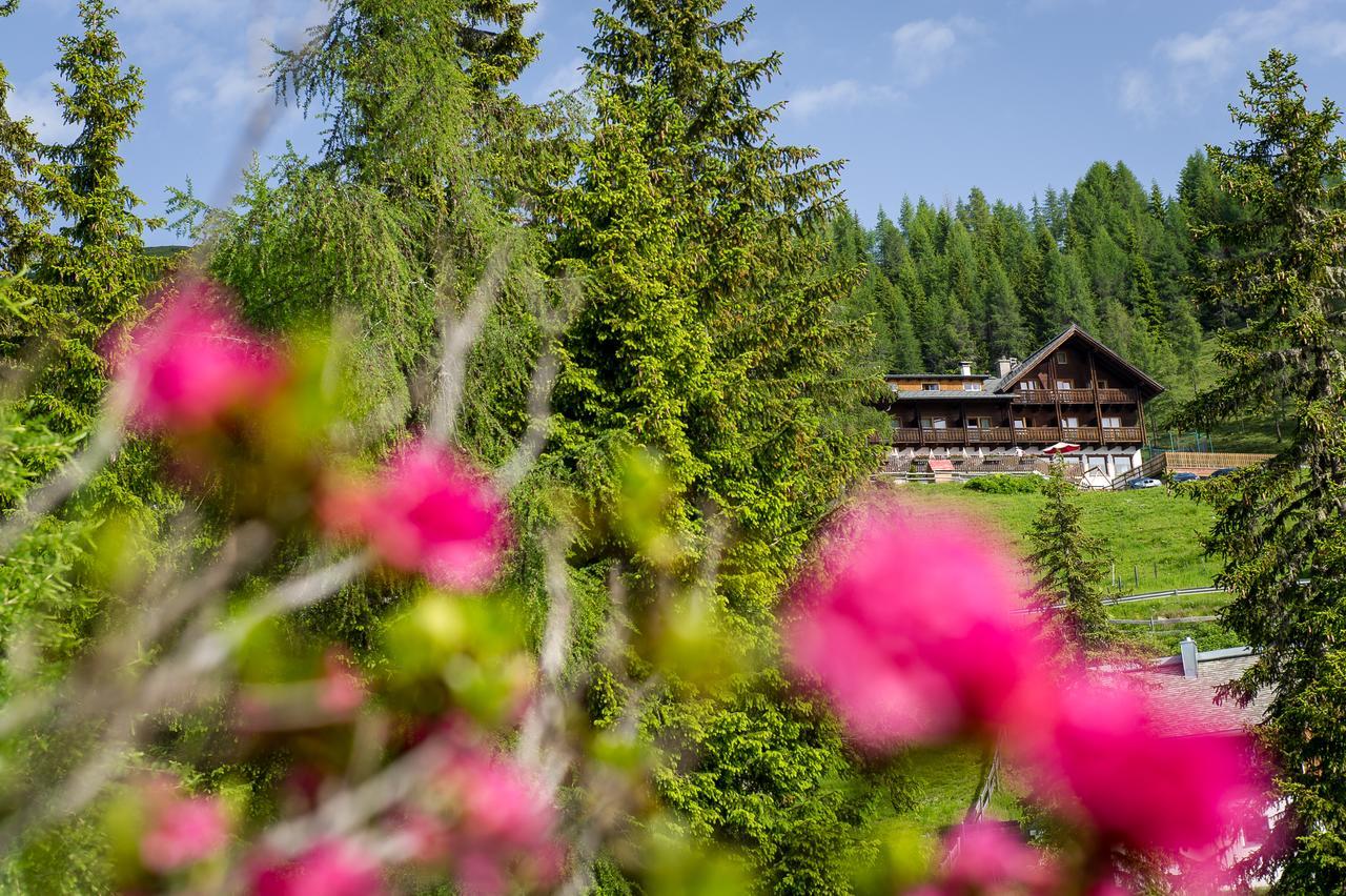 Sattleggers Alpenhof & Feriensternwarte Hotel ไกรเฟนบวร์ก ภายนอก รูปภาพ